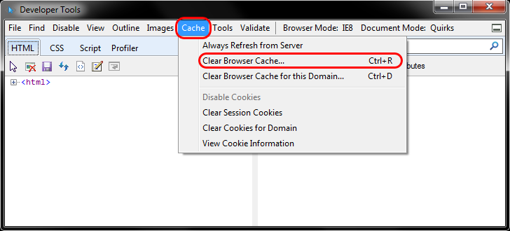 Cache > Clear Browser Cache...